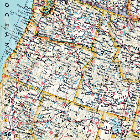 Pacific Northwest Dinner Mapkins